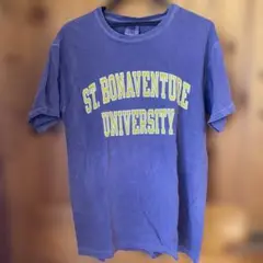 comfort colors カレッジロゴ Tシャツ
