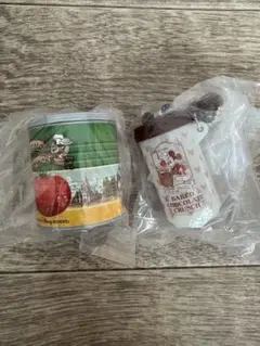 ディズニーリゾートキーチェーン