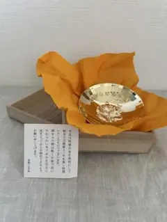 Item thumbnail for item df61e738-1d16-4702-a6f4-ef92667358cc