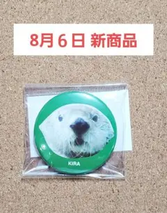 鳥羽水族館 ラッコ キラちゃん 缶バッチ グリーン