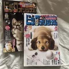 ビッグオリジナル 2025年8月5日号と8月20日号