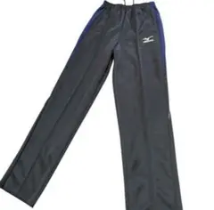 Item thumbnail for item 8414c82d-170e-48d9-a637-102520b09610