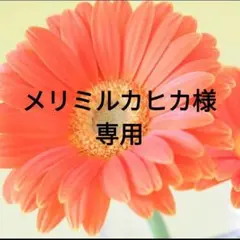 227レア【美品】 ロイヤル ウースター ビレッジ クリスマス トリオ 英国製