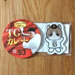 ジャイアンツ 高梨雄平 パペット アクリルマグネット たかにゃし