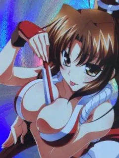 【即購入可】 ACGカード 1枚限り 美女 セクシー 巨乳