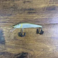 西根工房 ドリームラッシュ 9FR 琵琶湖回遊型① 西根工房 ドリームラッシュ 9FR 琵琶湖回遊型①