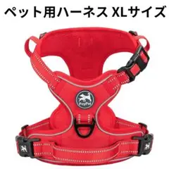 Item thumbnail for item 9ea65ac3-5577-4076-a084-8f14c1adb3fa