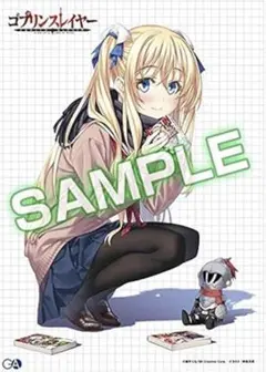 【新品未開封】ゴブリンスレイヤー 6巻 アニメイト限定 女神官 A3タペストリー
