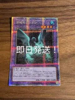 遊戯王　沼地のドロゴン　25th 即日発送