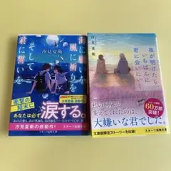 汀見夏衛 恋愛小説 2冊セット