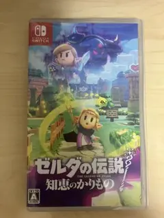 ゼルダの伝説 知恵のかりもの Nintendo Switch