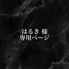 専用ページ