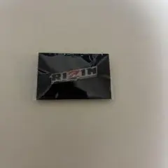 RIZIN ロゴ ピンバッジ