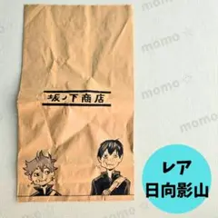 ハイキュー　坂ノ下商店　レア紙袋　 日向　影山　烏養繋心　コーチ　廃盤品