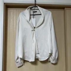 ZARA シャツ ブラウス