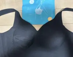 Item thumbnail for item 12856423-900b-43eb-8562-ad846c28ab7d