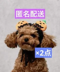 Item thumbnail for item 3fdb312f-aa91-45fc-8f42-002ed160ae17