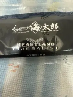 海太郎×HEARTLAND LIBERALIST 973M+RS 海太郎 × ハートランド】973M+RS 再販決定 / ショアジギ【issei