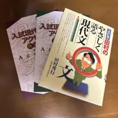 やさしく語る現代文 3冊セット