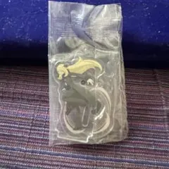 ポケットモンスター ポケモン アクリルスタンド vol.3 シロナ　ガチャガチャ