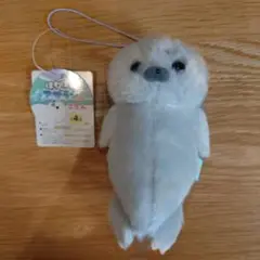 ほわほわアザラシちゃん　ごろん マスコット