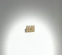 HERMES ピアス