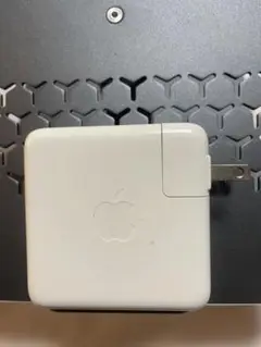 61 w adopter