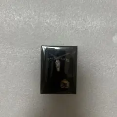 【オクタヴィネル寮】ツイステッドワンダーランド　コフィンネックレス