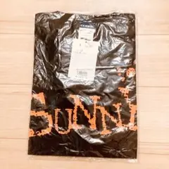 Item thumbnail for item 537b6697-1dc5-48ff-9001-2994f7cb552b