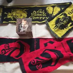 Acid Black Cherry　グッズ