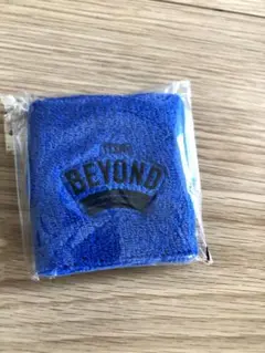 チームビヨンド　リストバンド TEAM BEYOND パラスポーツ