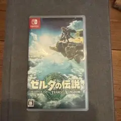ゼルダの伝説 ティアーズ オブ ザ キングダム