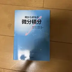 例からまなぶ微分積分
