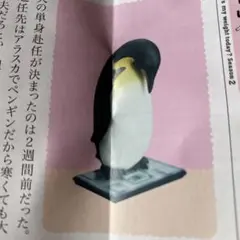 ガチャガチャ今日は何キロ？ペンギン フィギュア 約4cm 新品