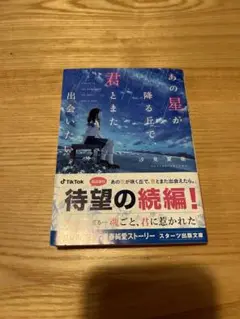 あの星が降る丘で君とまた出会いたい。　汐見夏衛