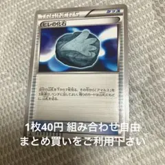 ヒレの化石　在庫1