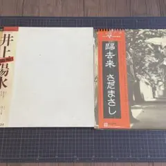 井上陽水 さだまさしレコード2枚セット