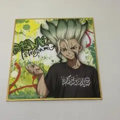【最終値下げ!!】 Dr.STONE 色紙