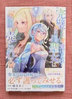 【完璧すぎて可愛げがないと婚約破棄された聖女は隣国に売られる（7）】綾北まご