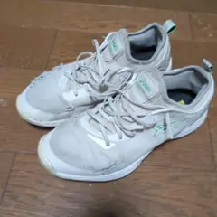 Item thumbnail for item a35b1245-f6cc-4a01-969c-31dbcbfa8544