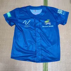 Item thumbnail for item be1f3ea5-0807-4577-aa56-4392dc73976d