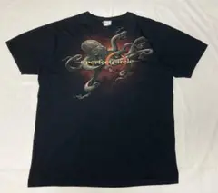 a perfect circle 2010 tシャツ TEE XL バンT 黒