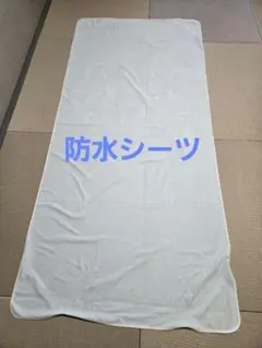 Item thumbnail for item 1b4ebadc-2aa0-4820-923b-0fd43e05e56a