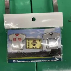 97回選抜決勝ピンバッジ