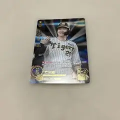 ドリームオーダー　阪神　渡邉諒　SP