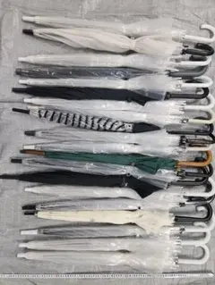 Item thumbnail for item 5a5948e1-f2e5-4c07-bf9a-872e00c096ca