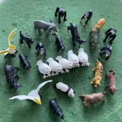 動物フィギュア