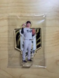 阪神タイガース　シークレット　石井大智　アクリルスタンド