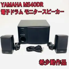 YAMAHA MS40DR モニタースピーカー Amazon.co.jp: YAMAHA DTXシリーズ用2.1ch モニタースピーカー