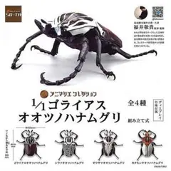 未開封 全4種 1/1 ゴライアスオオツノハナムグリ 福井敬貴